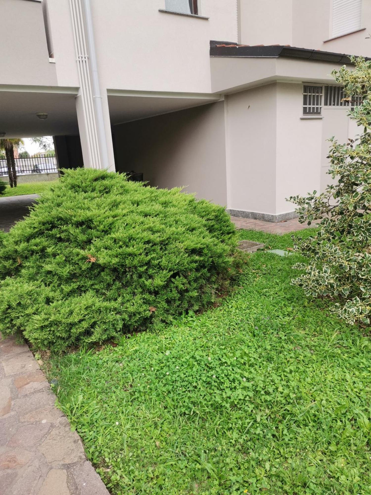 B&B Busto Garolfo Exterior foto